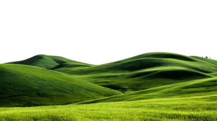 Grassland landscape with green rolling hills on a white background