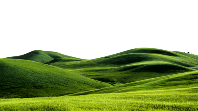 Grassland landscape with green rolling hills on a white background