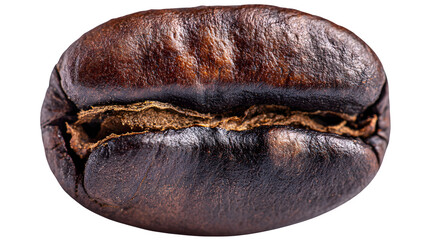 Macro close-up of large roasted coffee bean on white background
