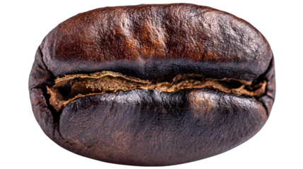 Macro close-up of large roasted coffee bean on white background