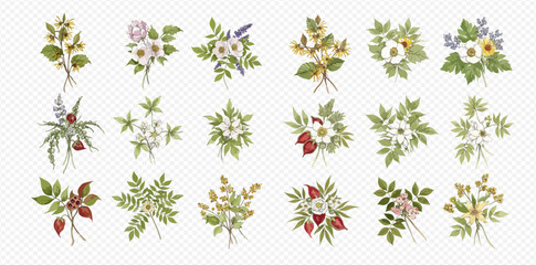 A beautiful collection of eighteen vintage-style watercolor bouquets with various wildflowers, berries, and green leaves arranged in a grid.
