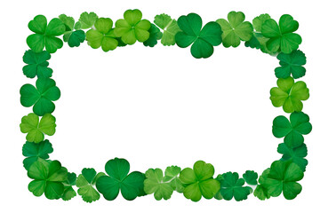 frame of green leaves four leaf clover isolated