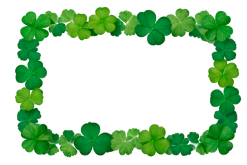 frame of green leaves four leaf clover isolated