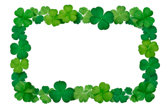 frame of green leaves four leaf clover isolated