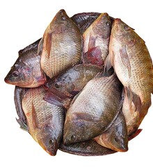 A pile of fresh whole fish likely tilapia with visible scales and fins arranged on a white...