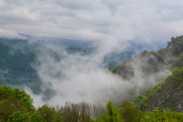 Dramatic scenery with clouds and lush green flora in the Carpathians Mountains in spring