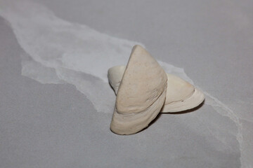 Halves of clam shells on a light background 