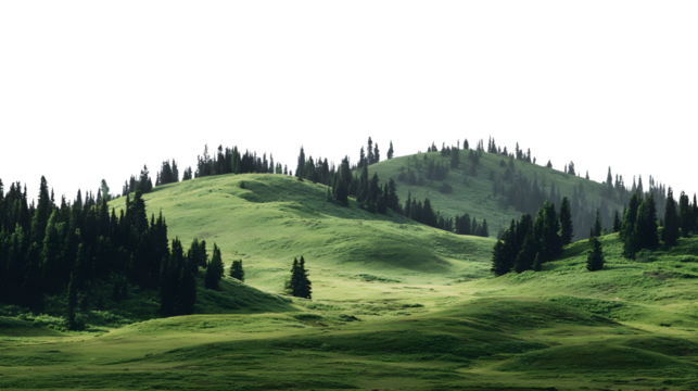 Forest grassland and trees over rolling green hills on a white background