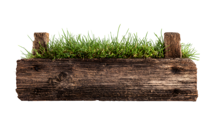 Aged wooden sign with grass for text area on white background