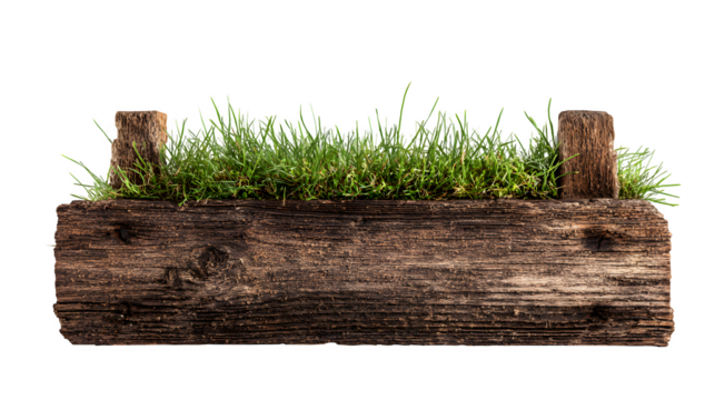 Aged wooden sign with grass for text area on white background