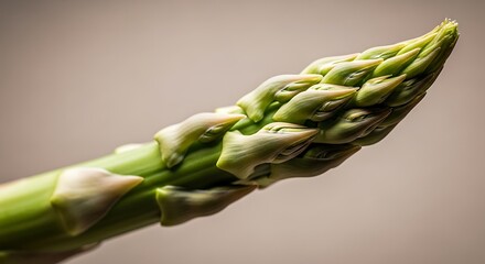 [Detailed macro shot of a fresh green asparagus spear tip on a neutral background.]