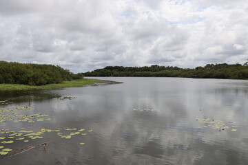 Etang d'Aureilhan, ville de Mimizan, département des Landes, France