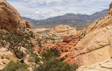 Details of the twisted red sandstone formations on the moderate Calico Tanks trail in the Red Rock Canyon in Nevada