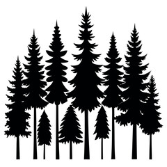 Obraz premium Silhouettes of evergreen trees in a forest&nbsp;setting