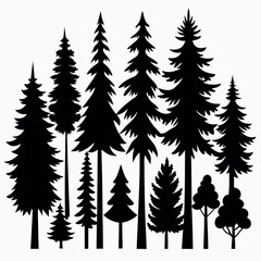 Obraz premium Silhouettes of evergreen trees in a forest&nbsp;setting