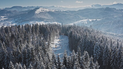 Aerial view skiers gliding down a winding slope through snow covered pine forest, framed by...