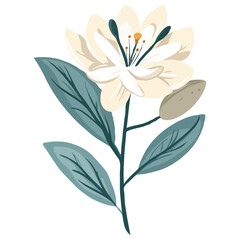 Elegant Floral Illustration A Gentle Blossom with Teal Leaves An Artistic Botanical Depiction for Invitations Stationery Cards and Various Creative Projects With Spring Feel