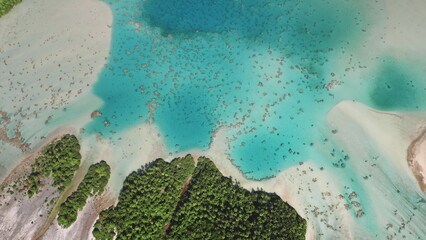 French Polynesia, Rangiroa island: Aerial view motu atoll with white sand beach, palm trees and crystal clear water. Wild nature travel landscape. Drone flight , top down