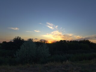 Scenic twilight sky with dramatic clouds and silhouettes of forest trees at dusk, tranquil outdoor view.
