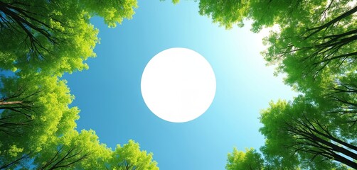 Looking up through vibrant green tree foliage framing perfect white circle against clear blue sky. Serene, tranquil scene offers sense of depth, peacefulness. Ideal for concepts of nature, balance,
