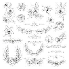 An elegant collection of hand-drawn floral elements, including lilies, roses, and decorative branches, perfect for design projects and wedding invitations.