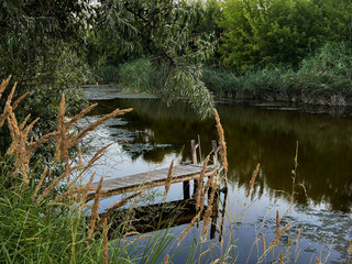 Scenic wooden pier leading into a calm forest pond surrounded by lush greenery and trees at sunset. Peaceful nature retreat.