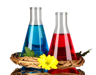  Laboratory Flasks, Beaker, and Test Tube with Colored Liquids, isolated on a transparent background