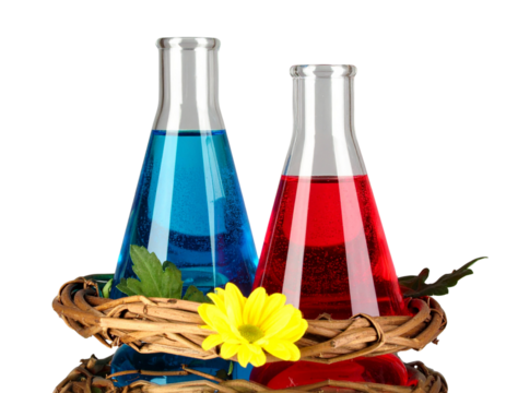  Laboratory Flasks, Beaker, and Test Tube with Colored Liquids, isolated on a transparent background