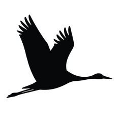 Vector Silhouette of a Sandhill Crane in Full Flight Against White Background