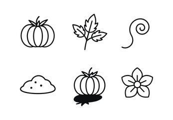 Heirloom Tomato Icon Set
