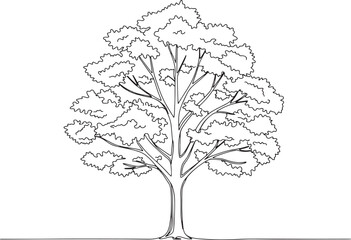 Fototapeta premium Sugar maple tree outline illustration with intricate leaf detail