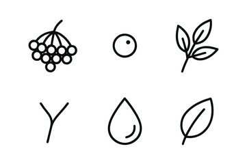 Wild Berries Icons