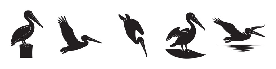 Brown Pelican Silhouette Bundle with Perched, Flying, Diving, Standing, and Gliding Poses Vector Images on White Background
