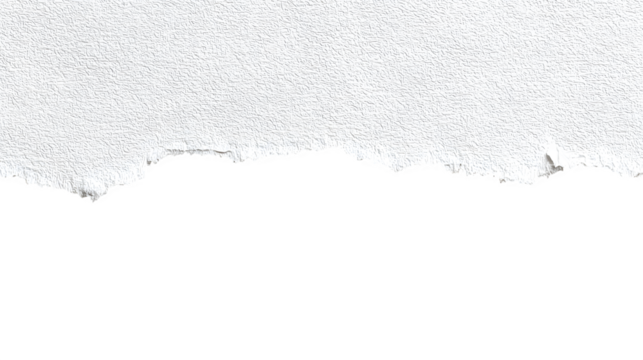 White paper torn edge border on bottom on white background