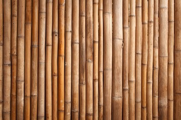 Naklejka premium Bamboo wall banner