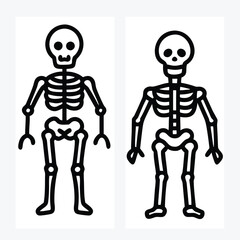 skeleton full body vector art illustration