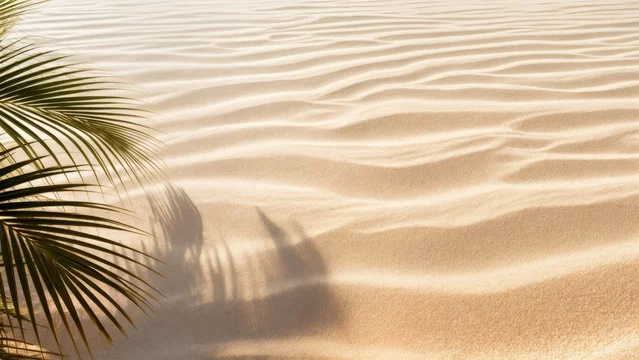 Gentle Ripples on Untouched Sand with Leaf Silhouette