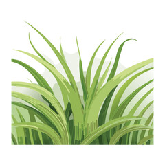 Lush Bush of Green Grass Illustration