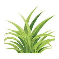 Bush of Fresh Green Grass with Highlight