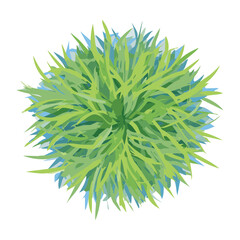 Top View of a Round Green Grass Bush