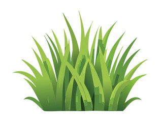 Fresh Green Grass Bush with Pointy Leaves