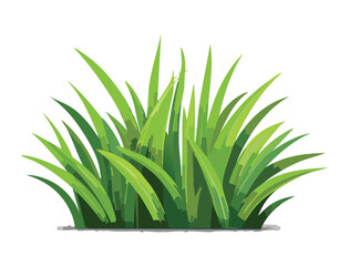 Bush of Fresh Green Grass with Highlight