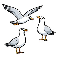 Obraz premium Seagulls in different poses flying and standing on white background 