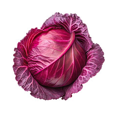 Obraz premium Fresh red cabbage isolated on transparent background