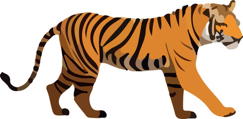 vector illustration of a zebra