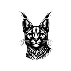 Obraz premium Striking black and white illustration of a caracal s face