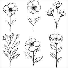 Botanical Line Art Floral Collection Hand Drawn Flowers and Plants for Print Decoration and Design Projects with Delicate Details