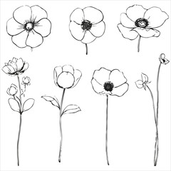 Elegant Floral Sketch Assortment Featuring Various Blooming Flowers and Buds, Botanical Line Art for Creative Projects and Nature Inspired Designs