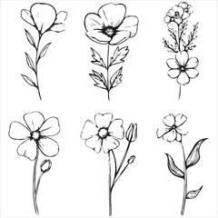 Botanical Sketch Collection A Study of Delicate Flower Outlines and Minimalist Design Perfect for Nature Inspired Art