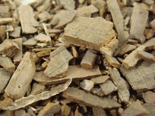 Euonymus alatus, Gwi-jeon-u dried Korean medicinal herb for blood circulation and inflammation relief